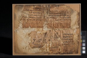 Frammento di papiro, del capitolo 100, dal Libro dei Morti